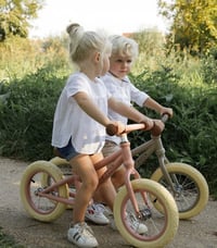 Image 4 of Little Dutch balance bike