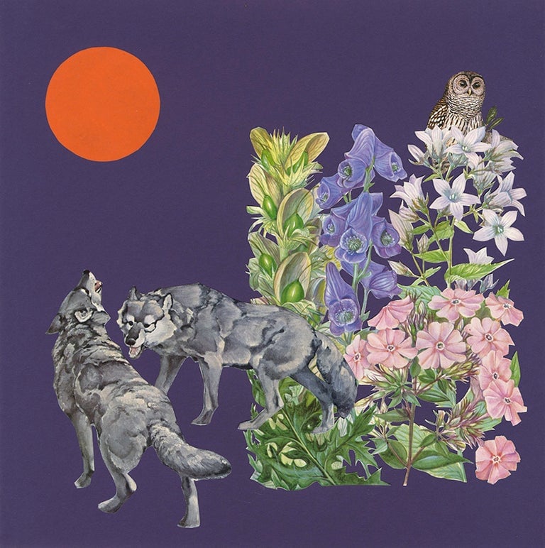 Image of Wolfsbane. Limited edition collage print.