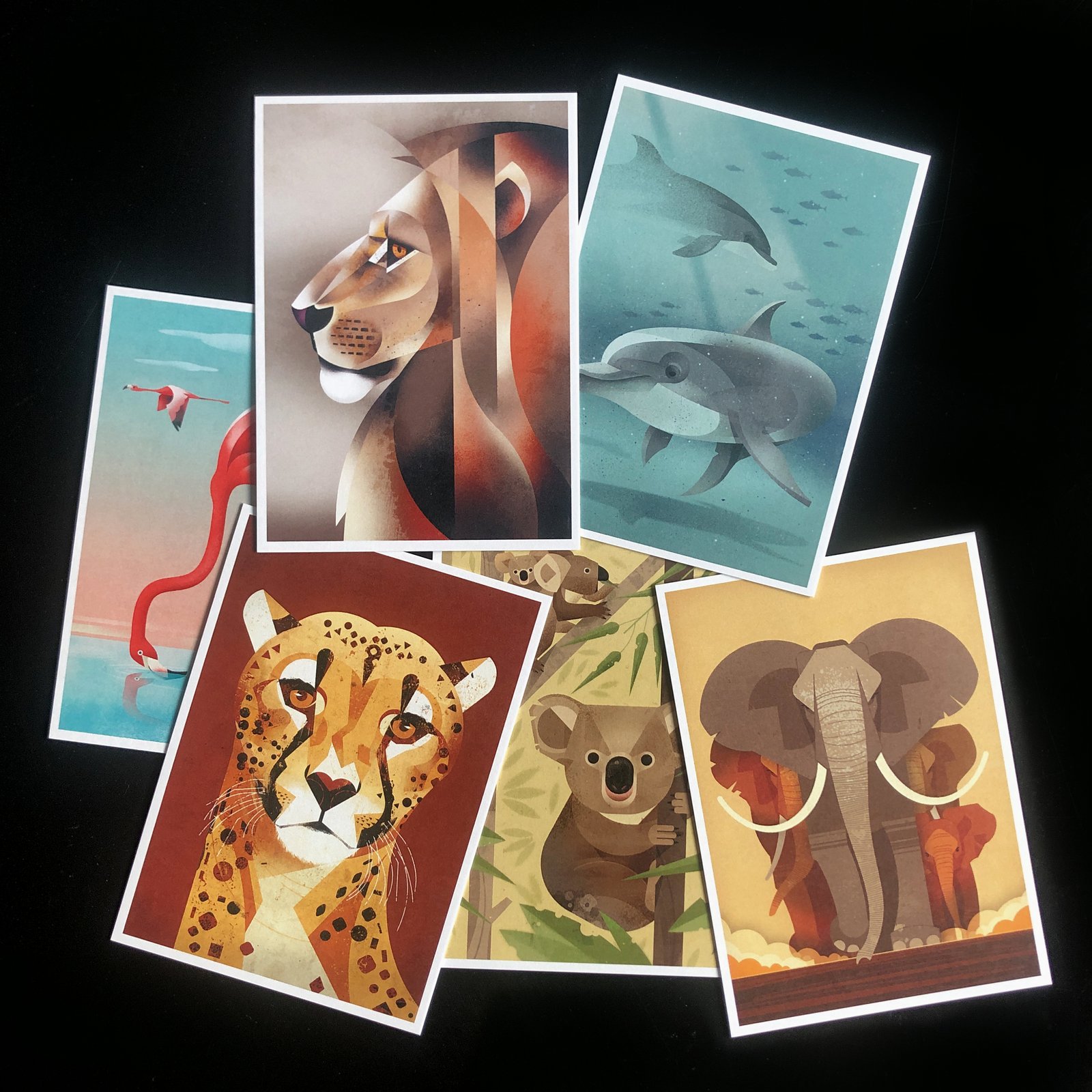 wild animals of the world 50 postcards