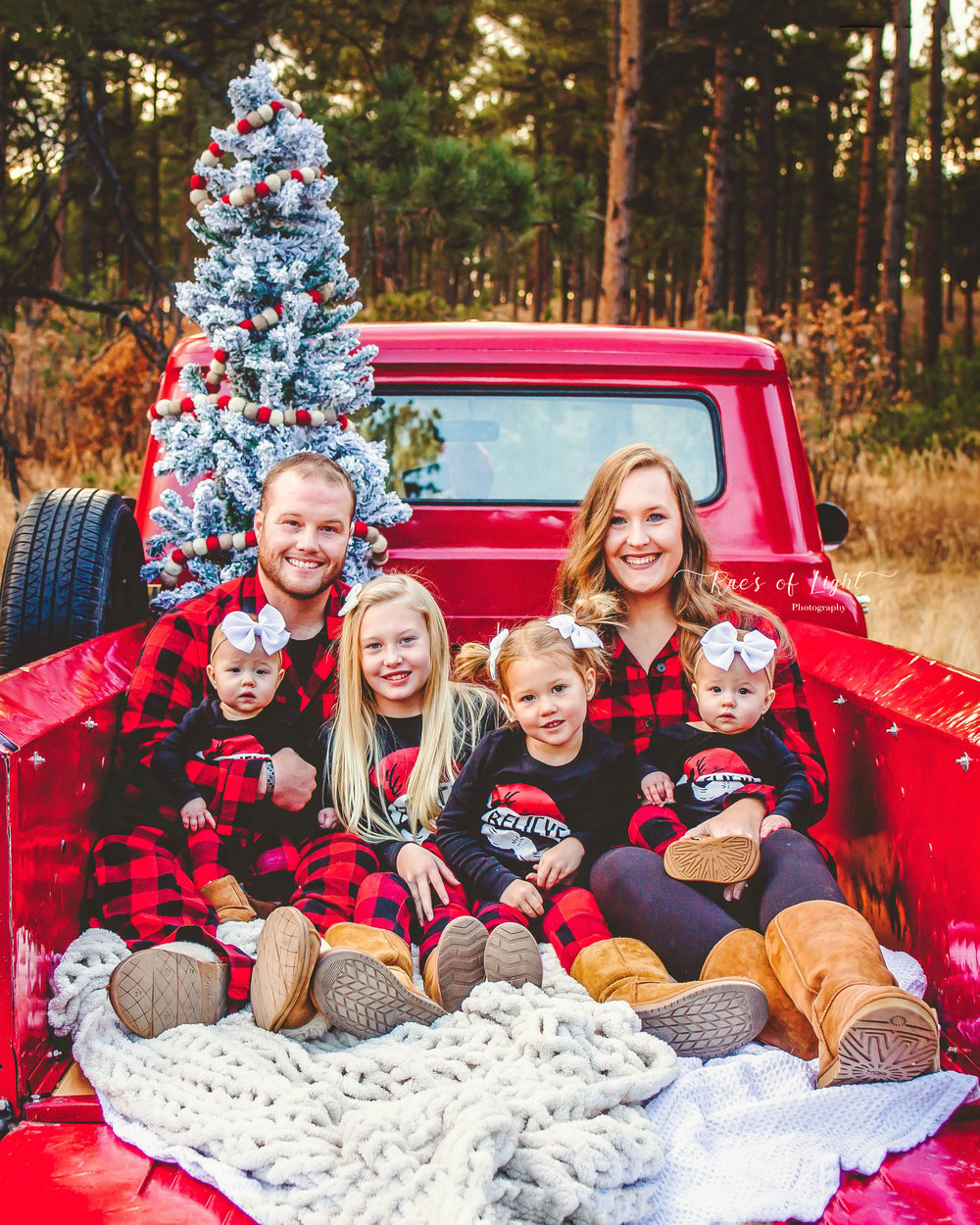 Image of Red Truck Christmas mini