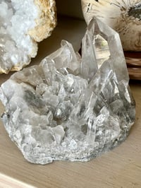 Image 21 of Clear Quartz Points Cluster Statement Piece #2446