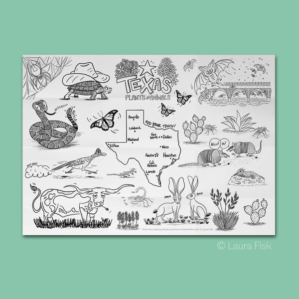 Image of Texas Plants and Animals Giant Coloring Sheet