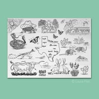 Image 1 of Texas Plants and Animals Giant Coloring Sheet