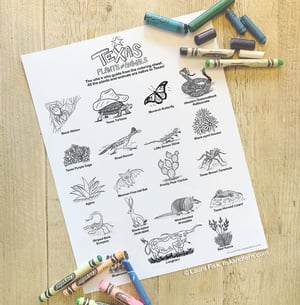 Image of Texas Plants and Animals Giant Coloring Sheet