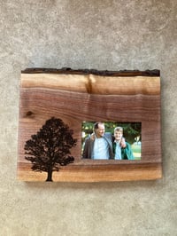 Image of Oak Tree Walnut Slab Frame