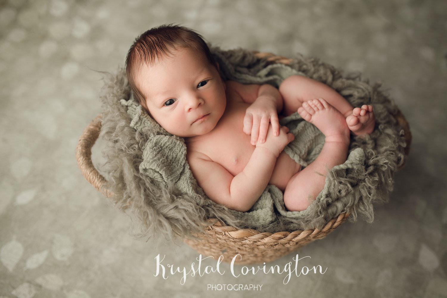 Image of Classic Newborn Session