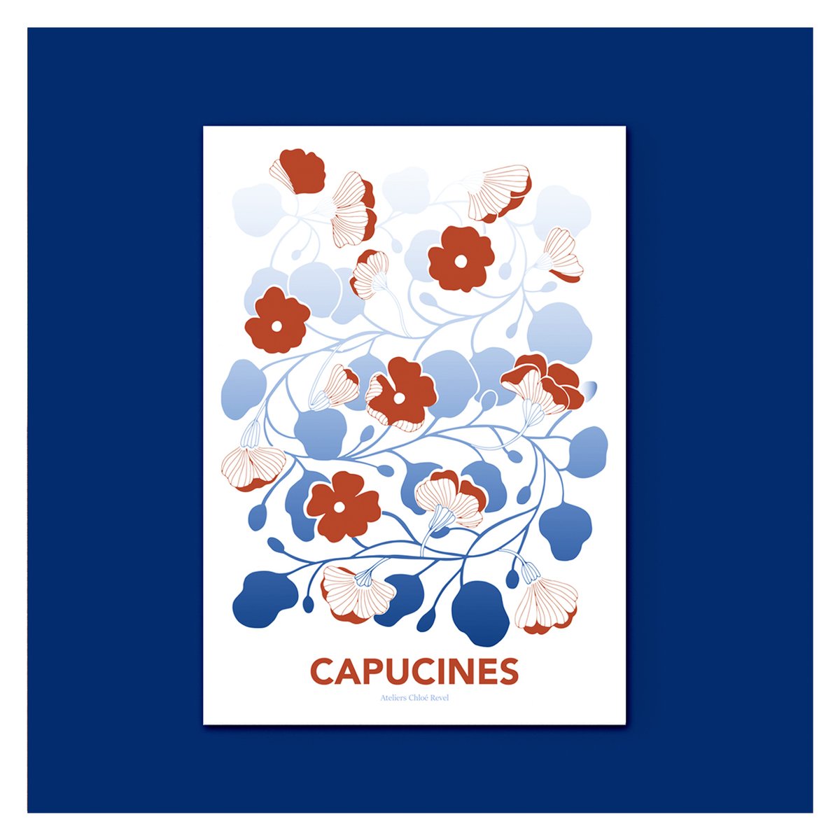 Affiche capucines bleues
