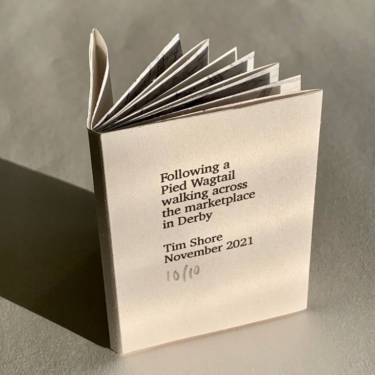 Following a Pied Wagtail walking across the marketplace in Derby (single sheet)