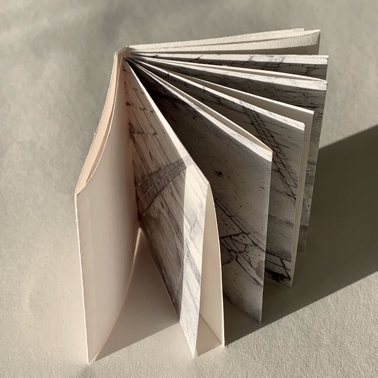 Following a Pied Wagtail walking across the marketplace in Derby (single sheet) Image 2