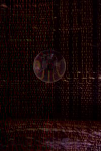 Image 3 of Dark Moon 