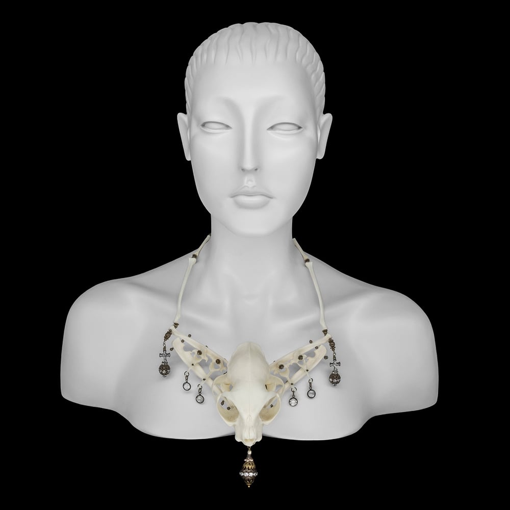 Image of “Raja” Elderly Cat Skull and Bone Necklace