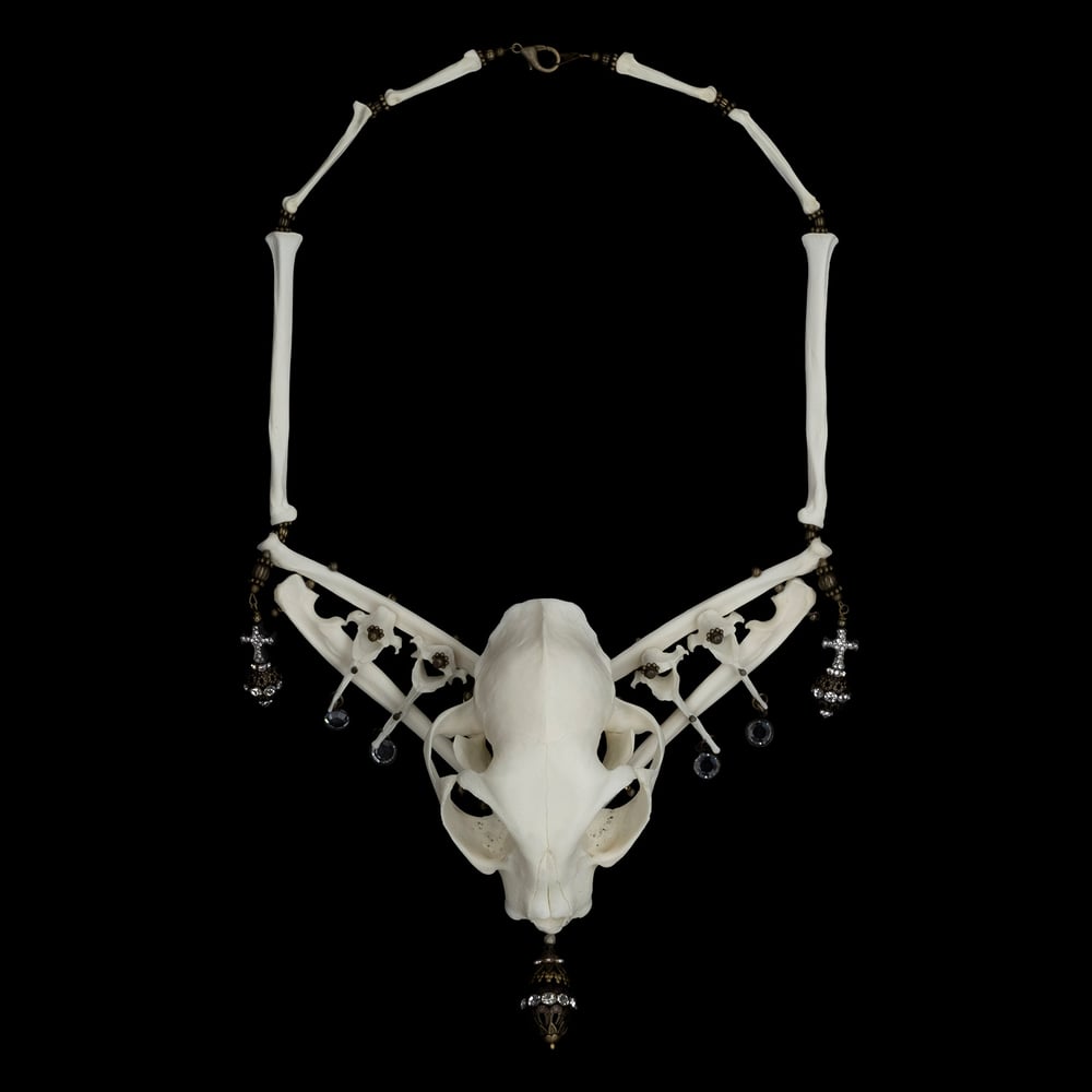 Image of “Raja” Elderly Cat Skull and Bone Necklace