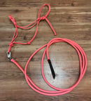 Image 3 of Halter and Lead Combo