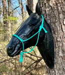 Image 1 of Halter and Lead Combo