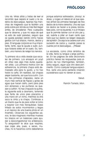 Image of DICCIONARIO PRÁCTICO PARA ESCALAR