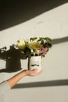 Chateaux de la Loire Porcelain Vase