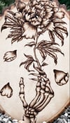 Metamorphosis