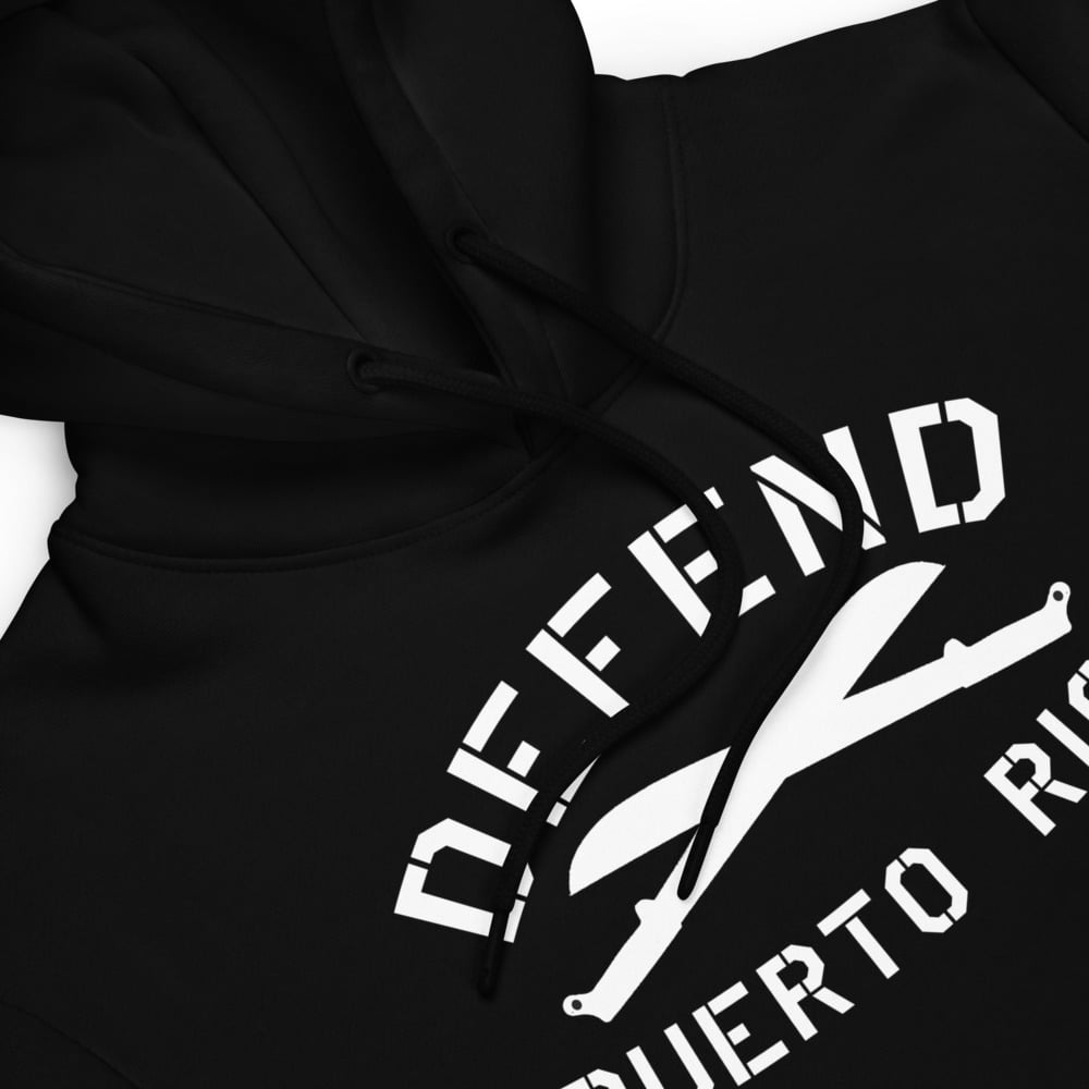 Image of Defend Puerto Rico Unisex hoodie