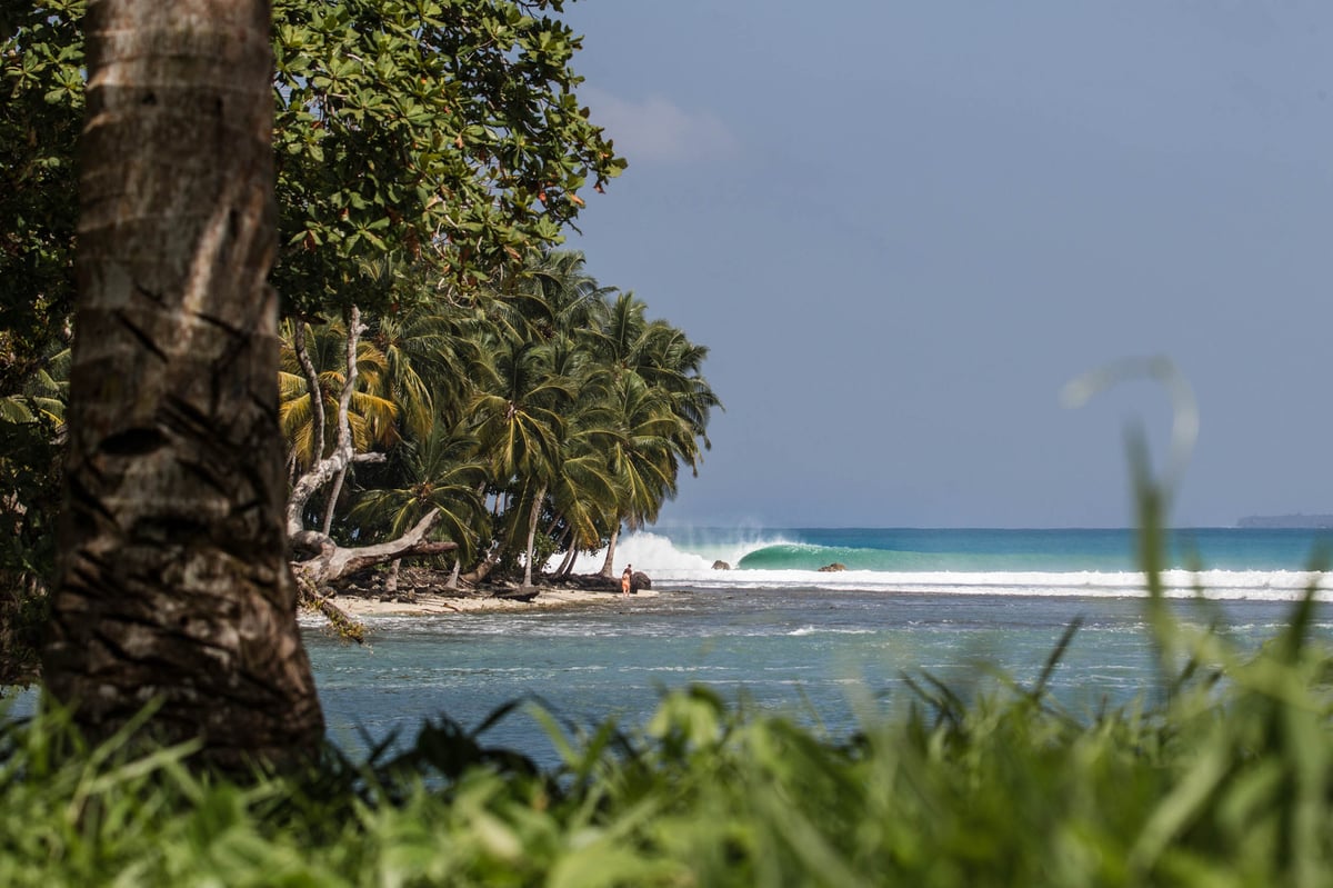 Image of Green Dream