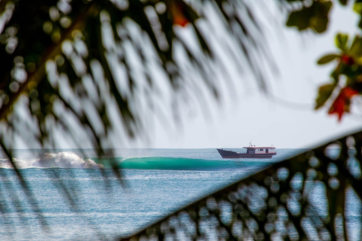 Image of Tropical Transportation