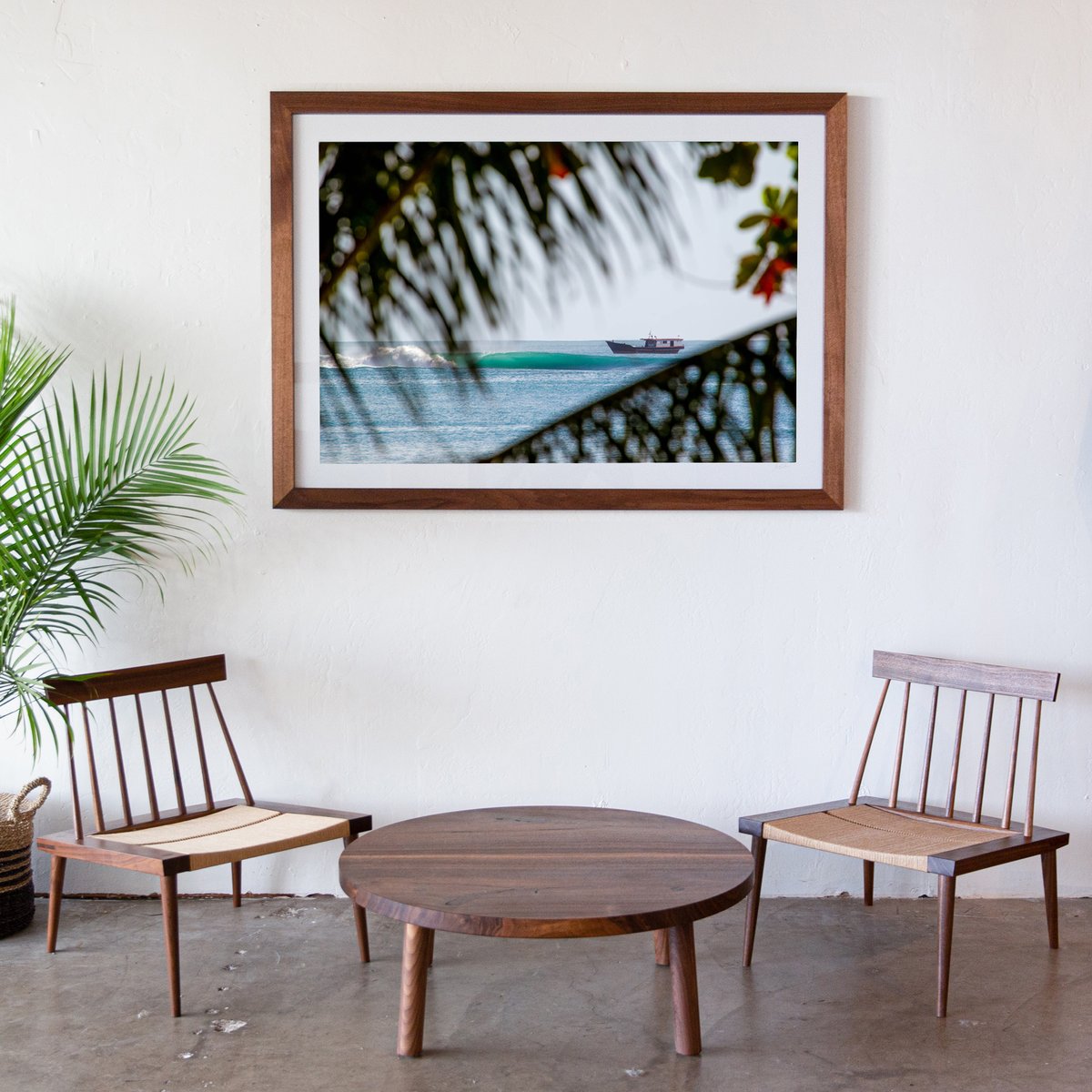 Image of Tropical Transportation