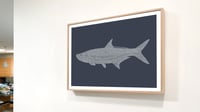 Image 1 of Fine Art Print / Tarpon (18 in. x 24 in.) Signed.