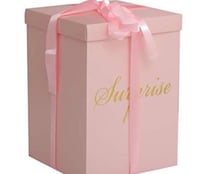 SURPRISE BOX
