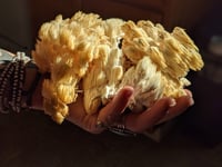 Image 1 of Gift Cards!