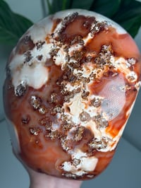 Image 6 of XXL MOSSY CARNELIAN FREEFORM -MADAGASCAR- 