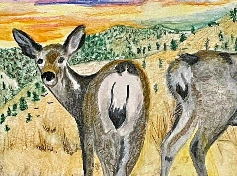 Buenas Dias Dos Venados   (Good Morning Two Deer) Image 2