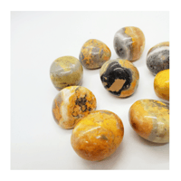 Image 1 of Bumble Bee Jasper