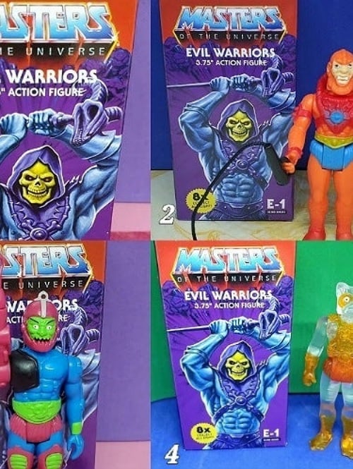 MOTU / EVIL WARRIORS