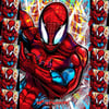 Spideyverse Set