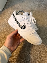Nike Dunk x DIOR