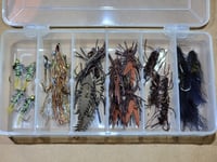 Image of Eastern Trophies Trout Selection