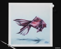 Image 4 of The Goldfish Giclee Print