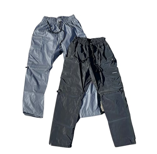 Image of Iridescent Pants