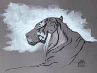 Tiger Study