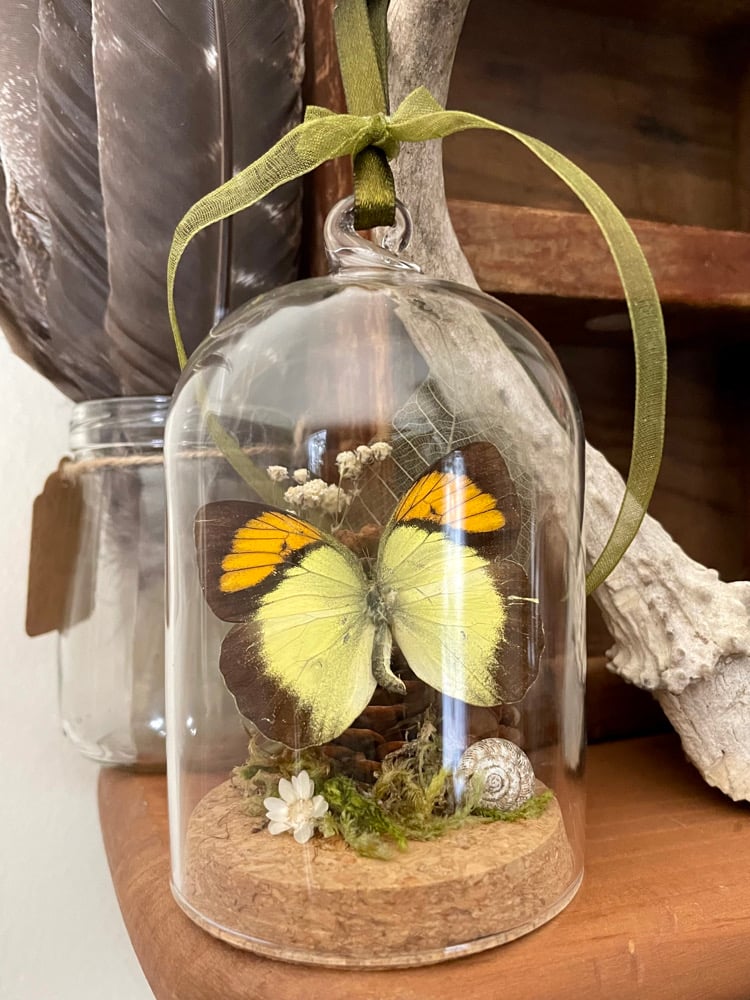 Image of Butterfly ornament III