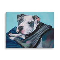 Image 1 of Lazy Pitbull