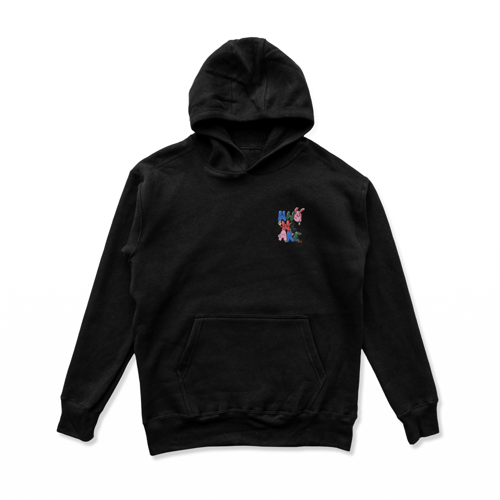 Image of "who are we" - black pullover hoody