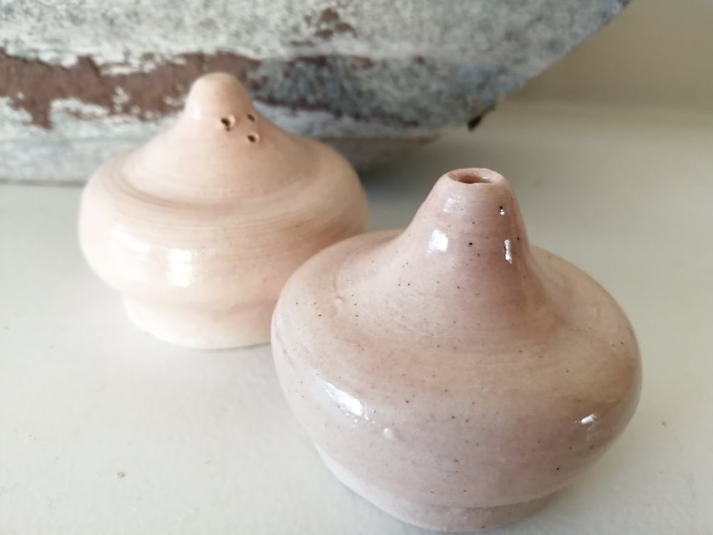 Salt and Pepper shakers