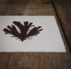 Palmaria palmata - original limited edition lino print