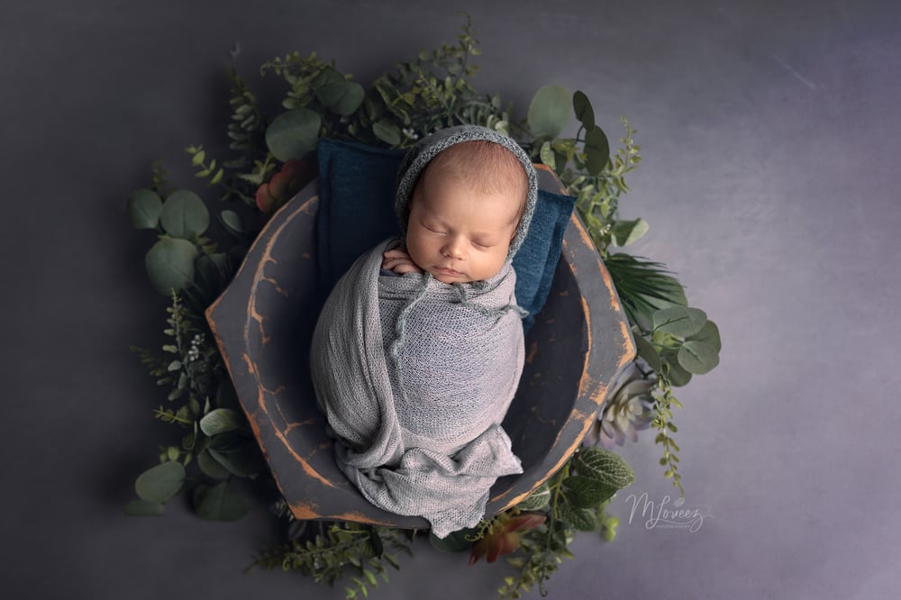 Image of 2022 Newborn Session