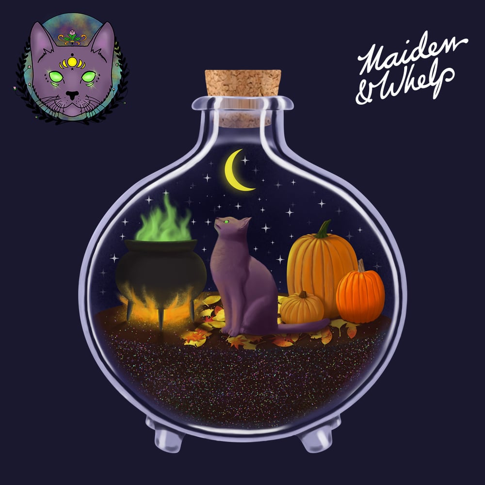 Image of Moon Cat in a Bottle