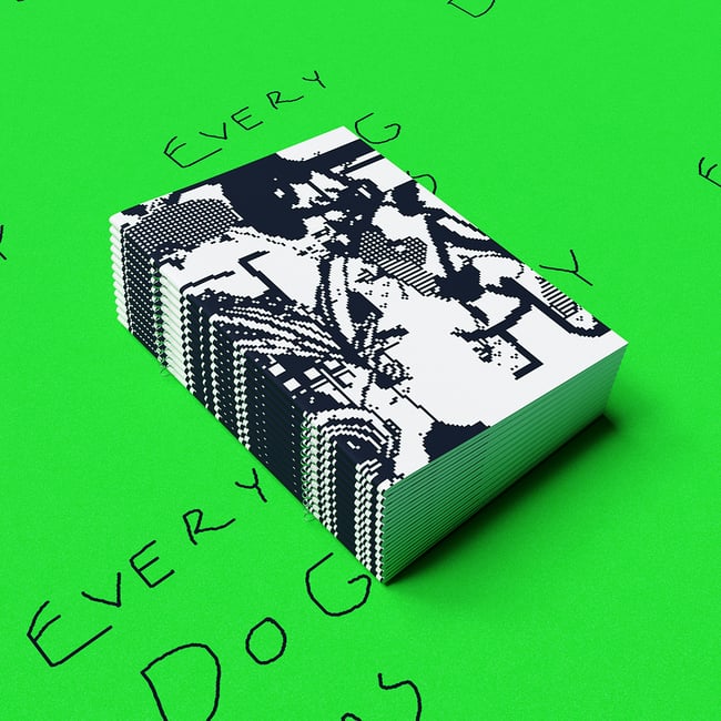 Every Dog Has Its Day