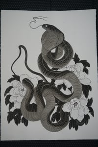 Image 1 of Cobra soul 