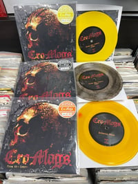 Cro-Mags - From The Grave (signed colored vinyl)