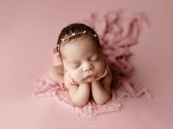 Image of Sawyer BabyPlush / Sahara rose