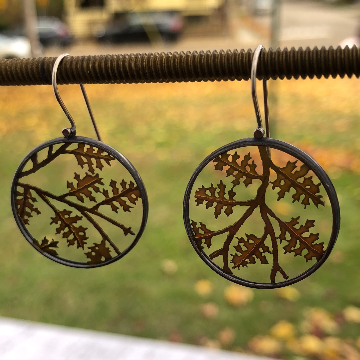 Image of Oak leaf botanicals under glass